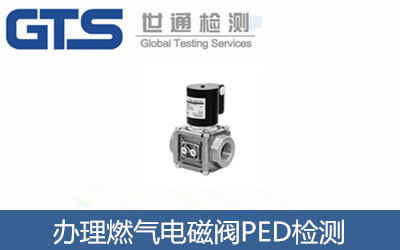 辦理燃?xì)怆姶砰yPED檢測